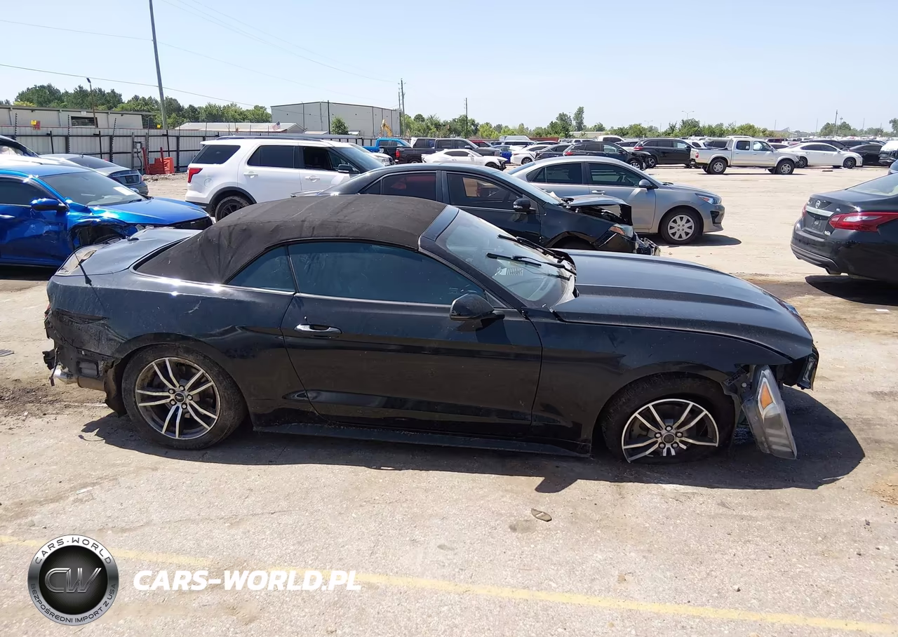 2017 Ford Mustang Ecoboost Premium VIN:1FATP8UH4H5295308 - 13