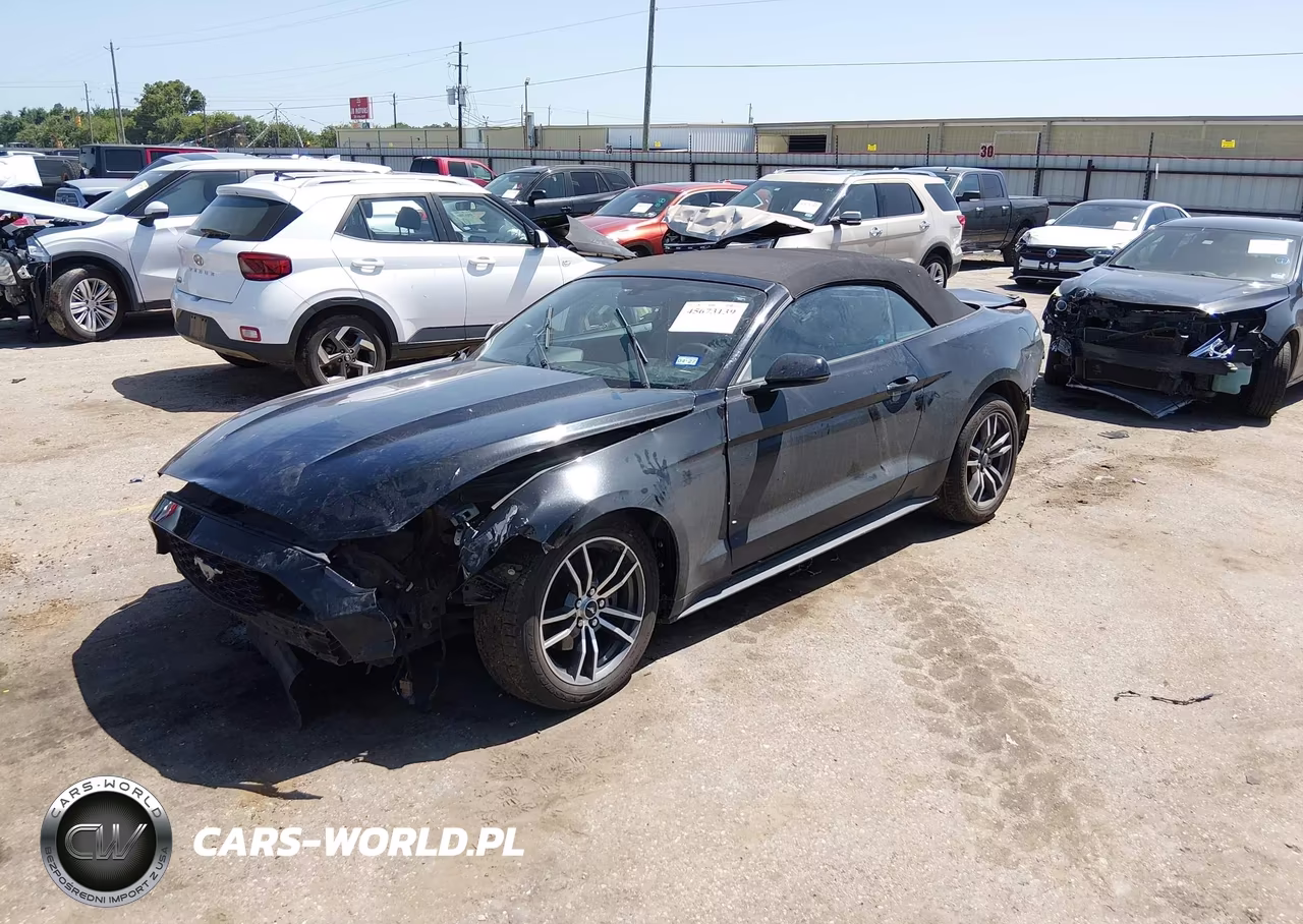 2017 Ford Mustang Ecoboost Premium VIN:1FATP8UH4H5295308 - 2