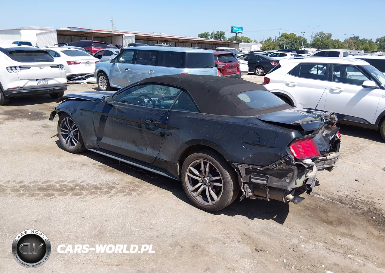 2017 Ford Mustang Ecoboost Premium VIN:1FATP8UH4H5295308 - 3