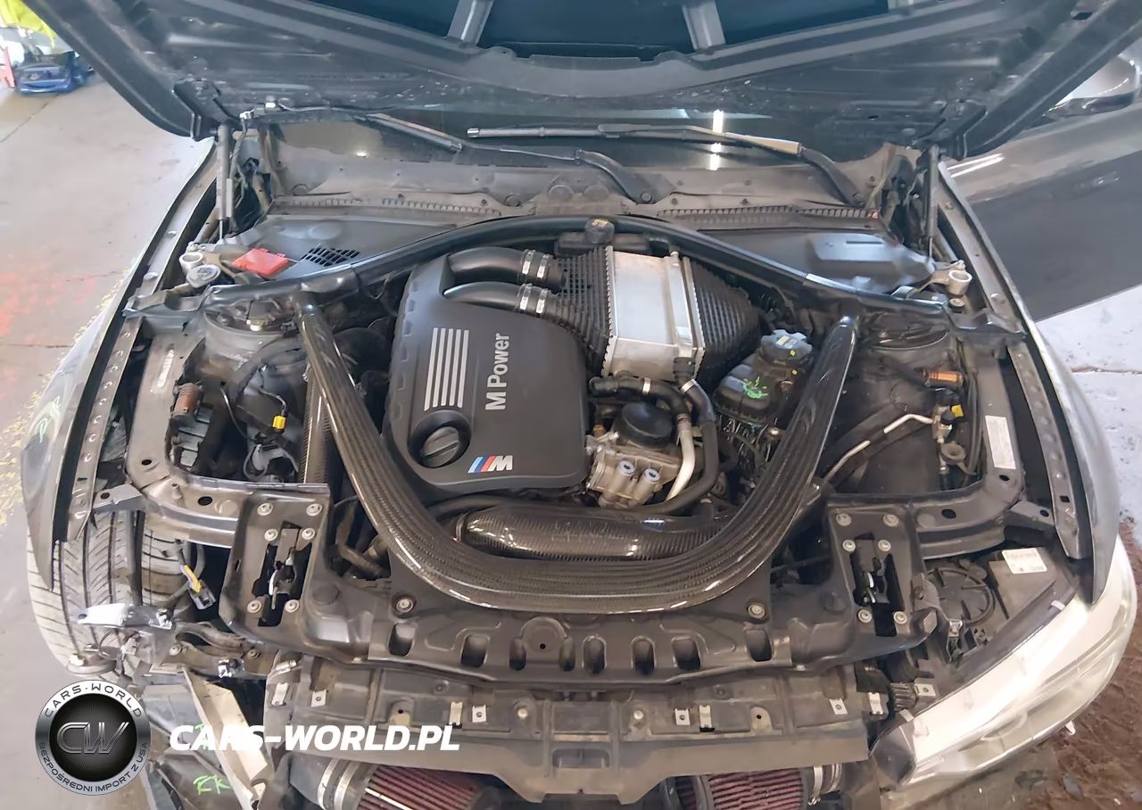 2015 BMW M3 VIN:WBS3C9C57FP803431 - 10