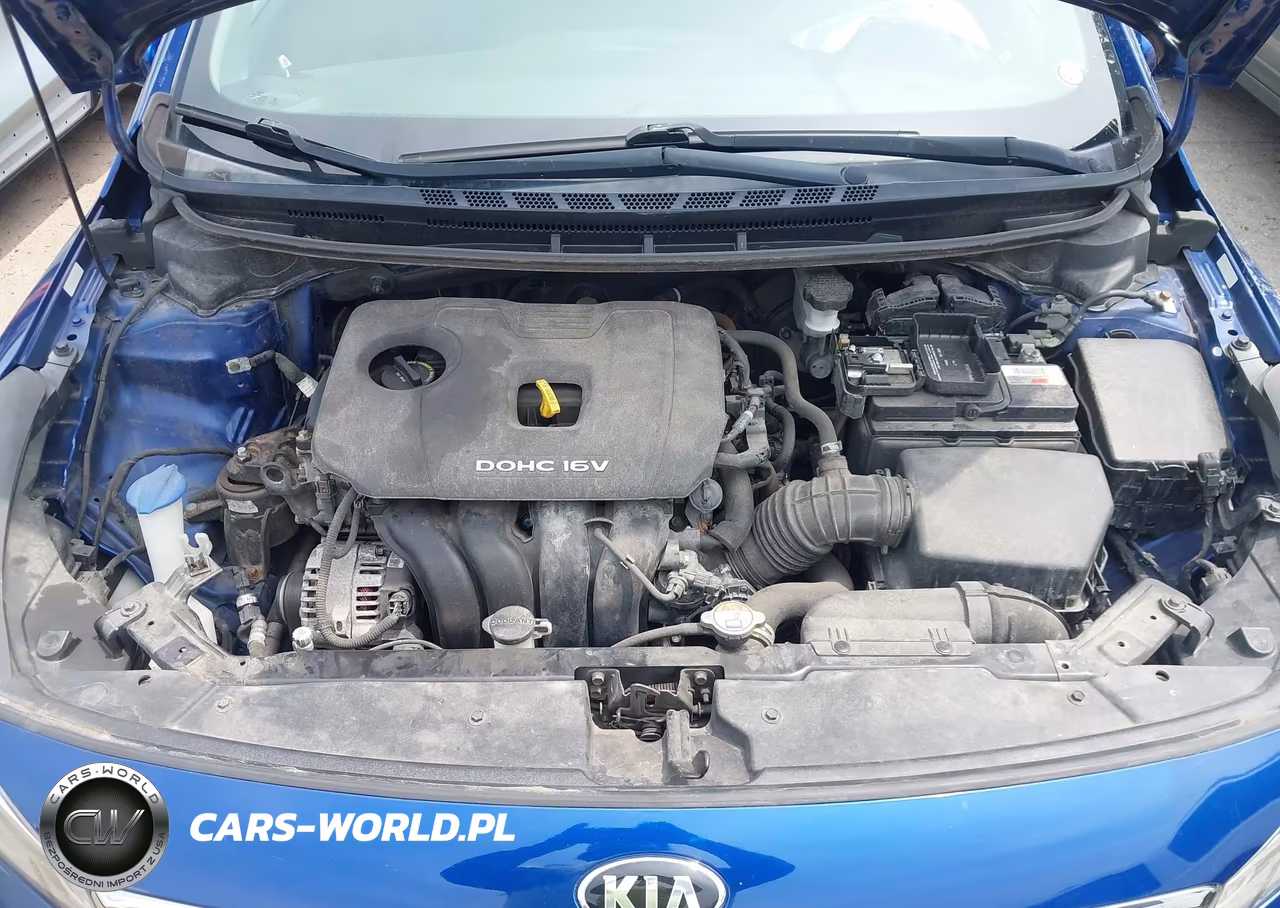 2017 Kia Forte Lx VIN:3KPFK4A70HE109181 - 10