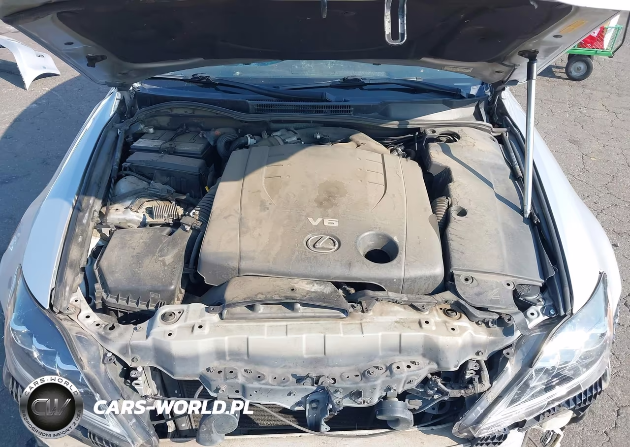 2006 Lexus Is 250 VIN:JTHBK262X65017972 - 10