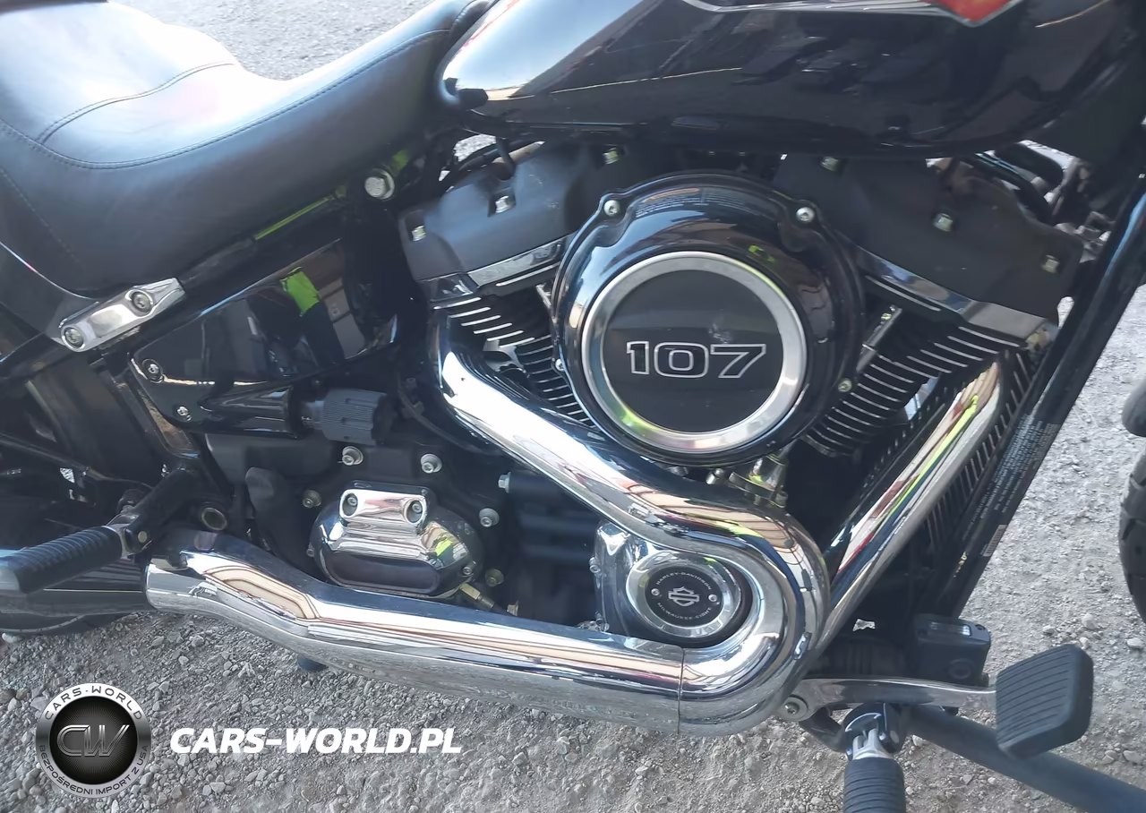 2020 Harley-Davidson Flsb VIN:1HD1YMJ26LB067293 - 8