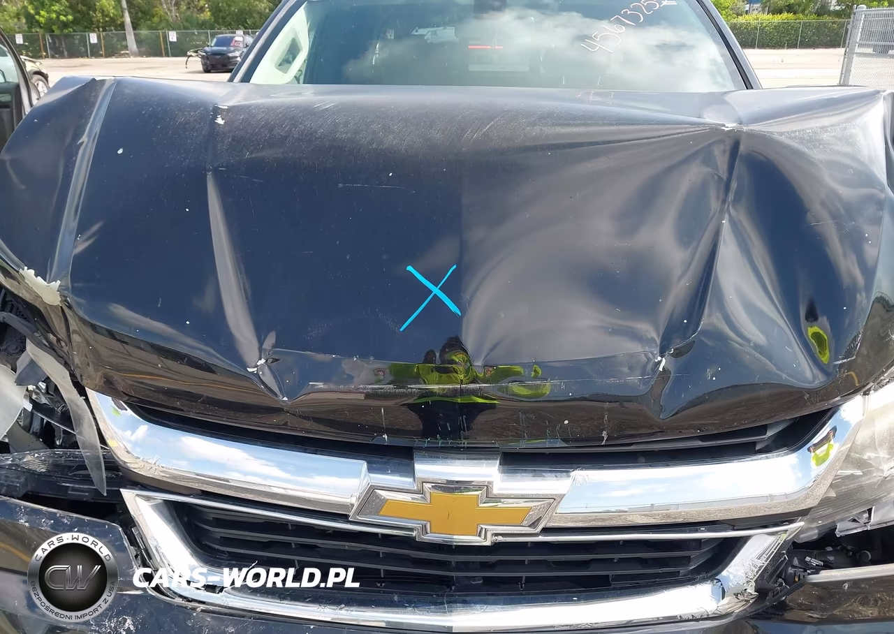 2016 Chevrolet Colorado 2Wd Lt VIN:1GCHSCEA5G1241833 - 10