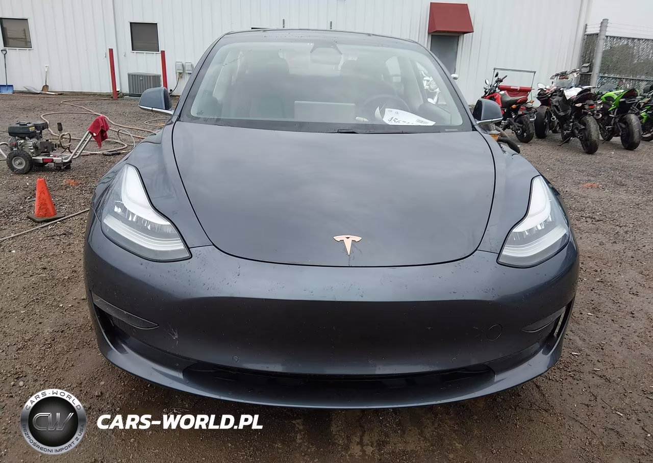 2020 Tesla Model 3 Standard Range Plus Rear-Wheel Drive-Standard Range Rear-Wheel Drive VIN:5YJ3E1EA8LF736678 - 12