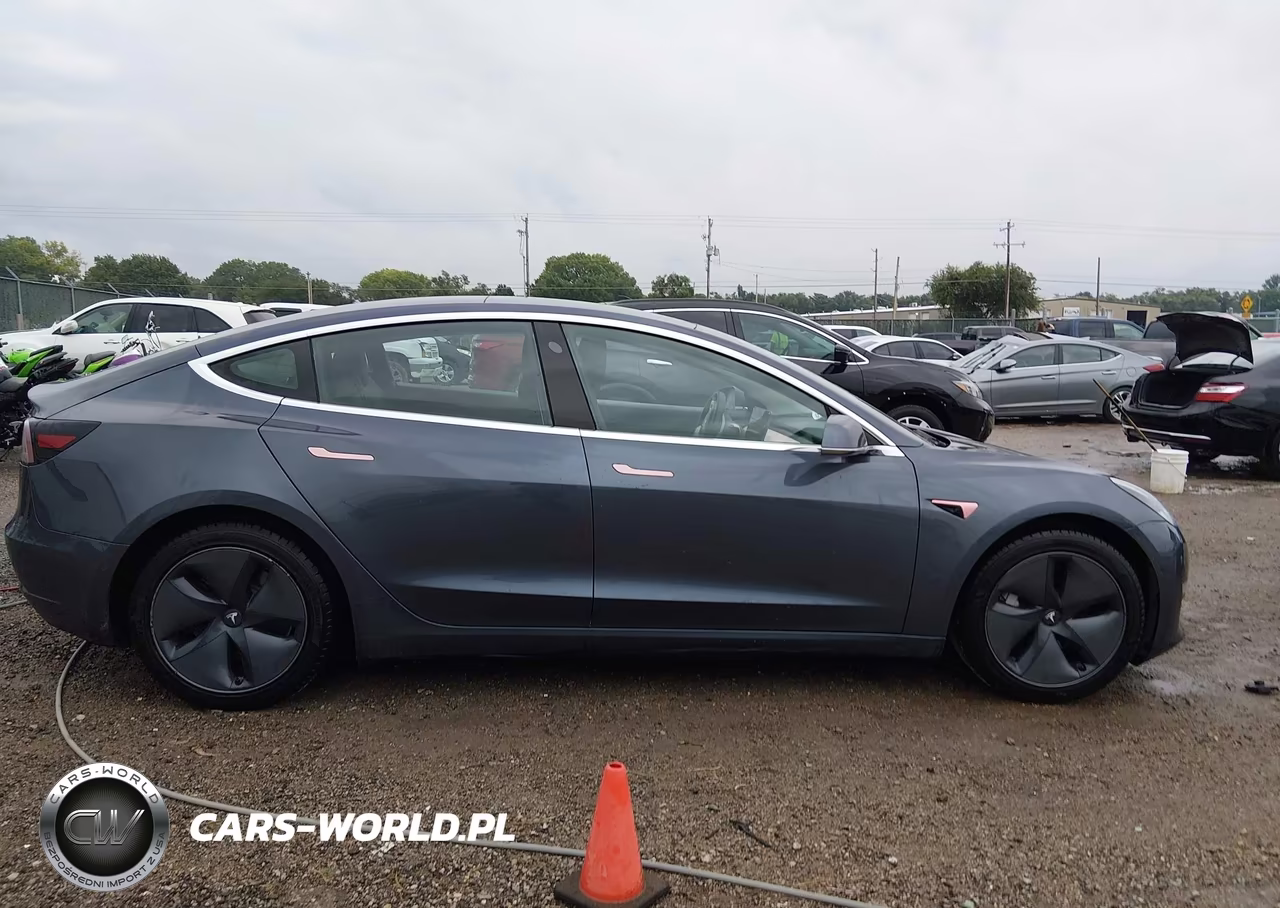 2020 Tesla Model 3 Standard Range Plus Rear-Wheel Drive-Standard Range Rear-Wheel Drive VIN:5YJ3E1EA8LF736678 - 13