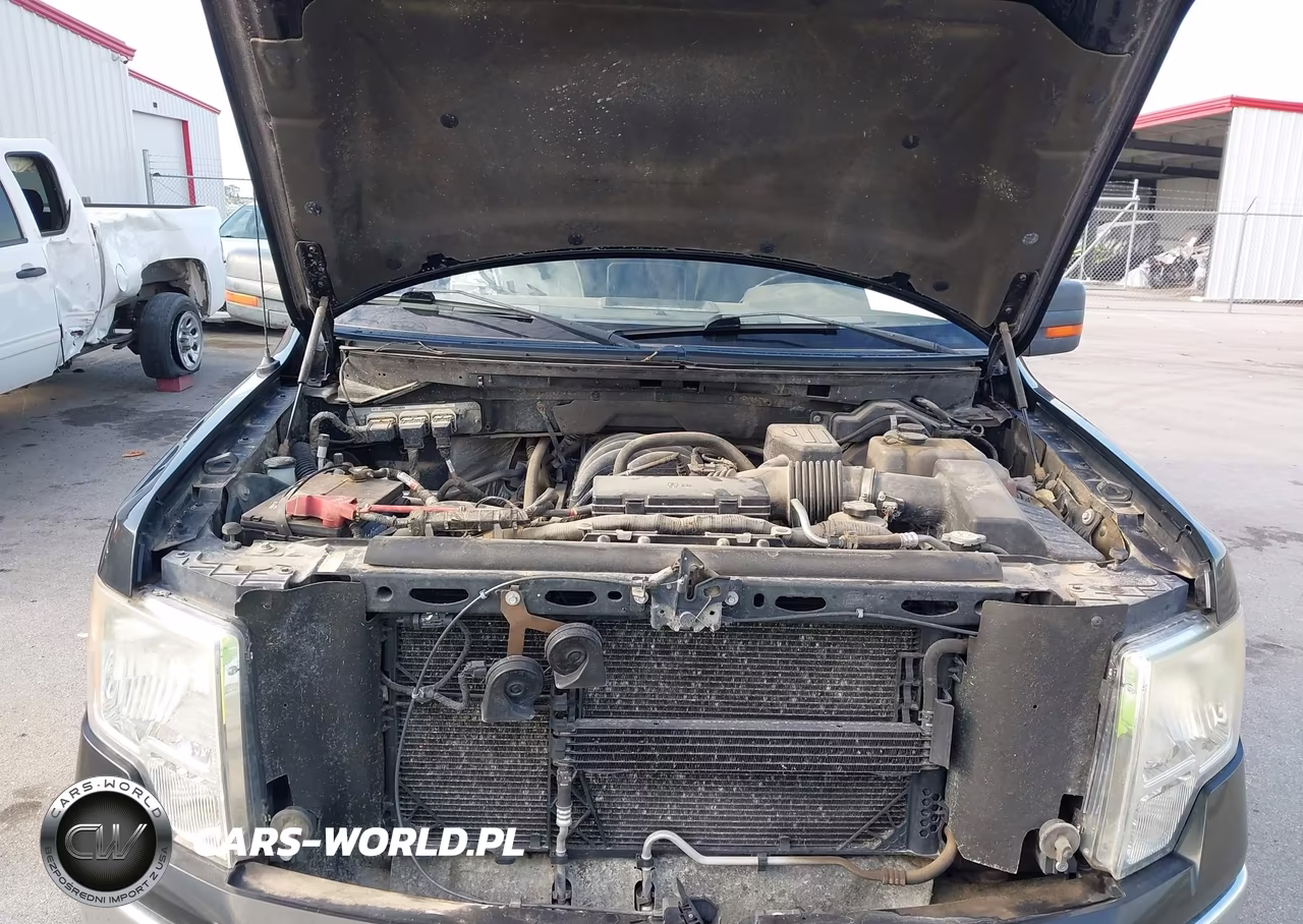 2010 Ford F-150 Stx-Xl-Xlt VIN:1FTEX1E86AKA77094 - 10