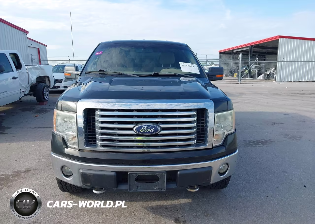 2010 Ford F-150 Stx-Xl-Xlt VIN:1FTEX1E86AKA77094 - 12