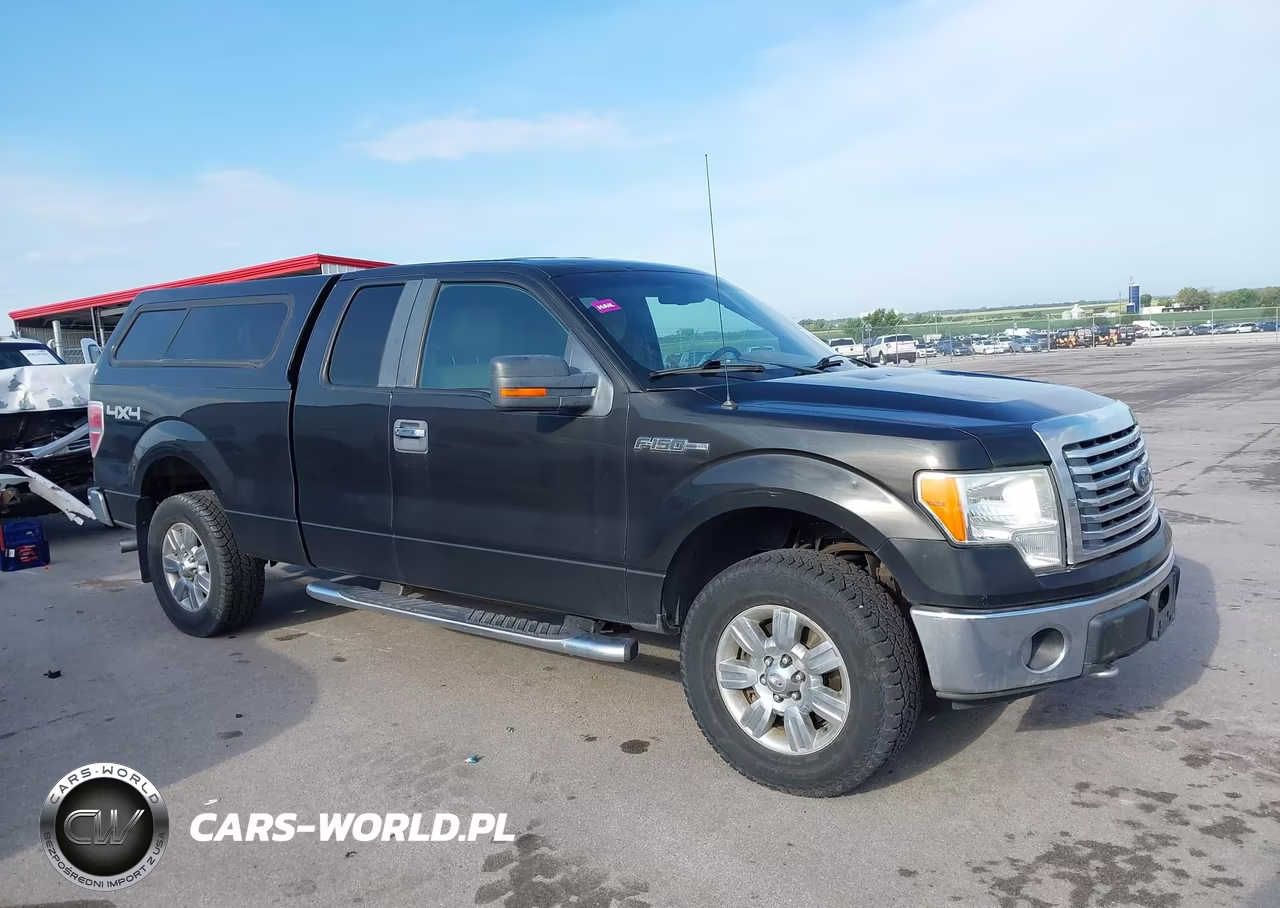 2010 Ford F-150 Stx-Xl-Xlt VIN:1FTEX1E86AKA77094 - 13