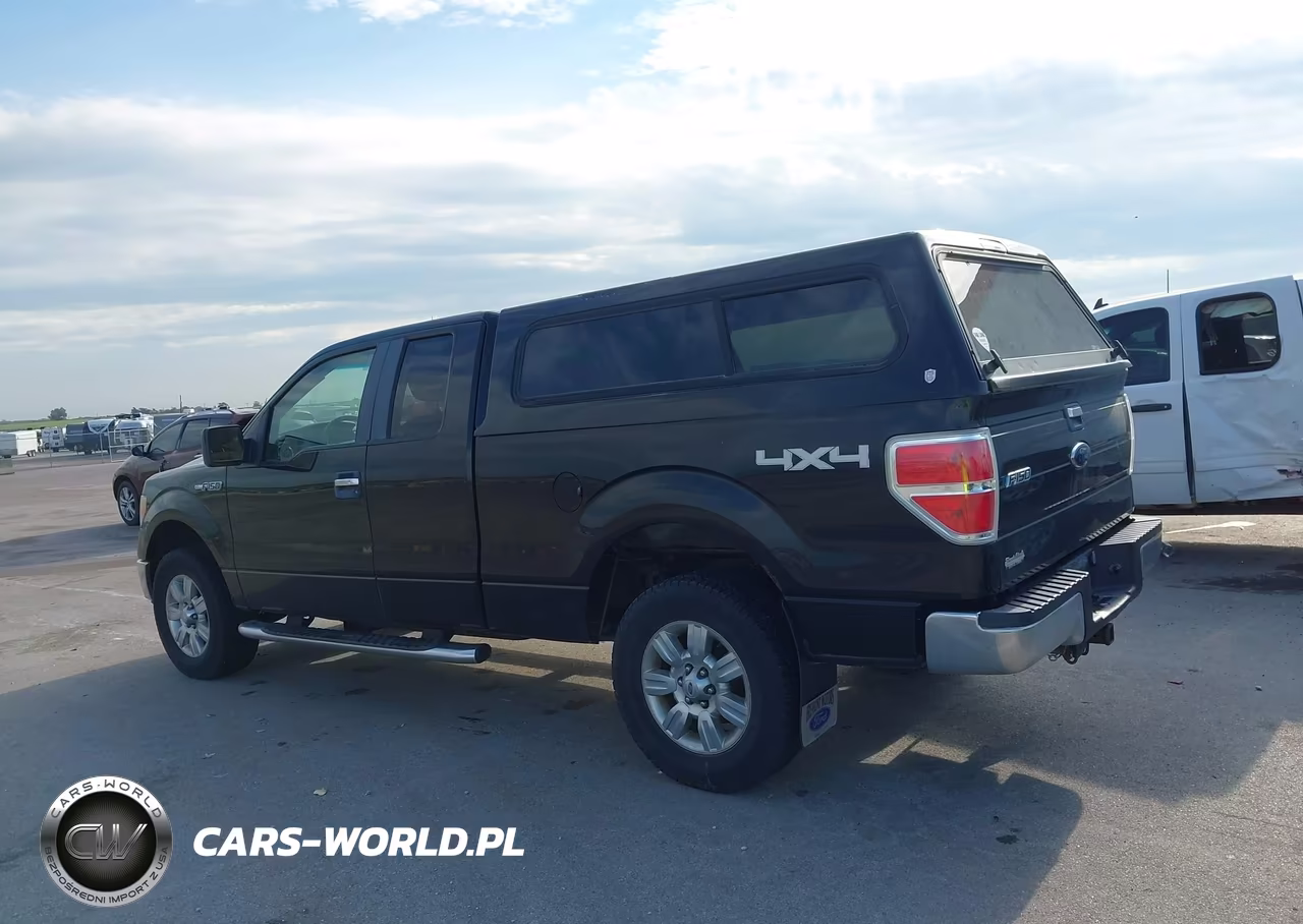 2010 Ford F-150 Stx-Xl-Xlt VIN:1FTEX1E86AKA77094 - 14