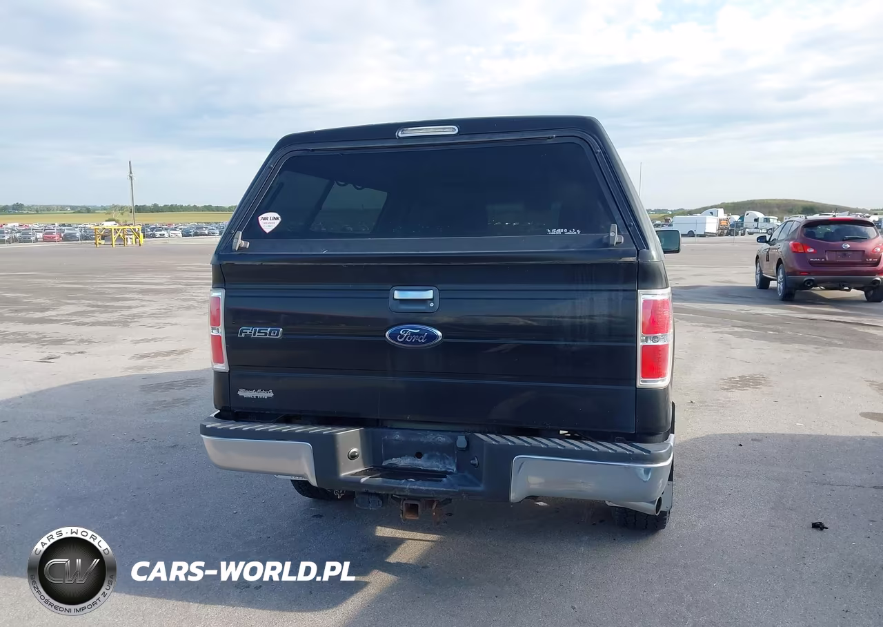 2010 Ford F-150 Stx-Xl-Xlt VIN:1FTEX1E86AKA77094 - 16