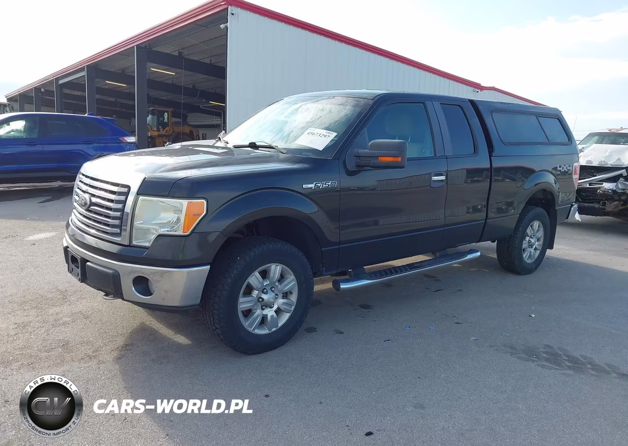 2010 Ford F-150 Stx-Xl-Xlt VIN:1FTEX1E86AKA77094 - 2
