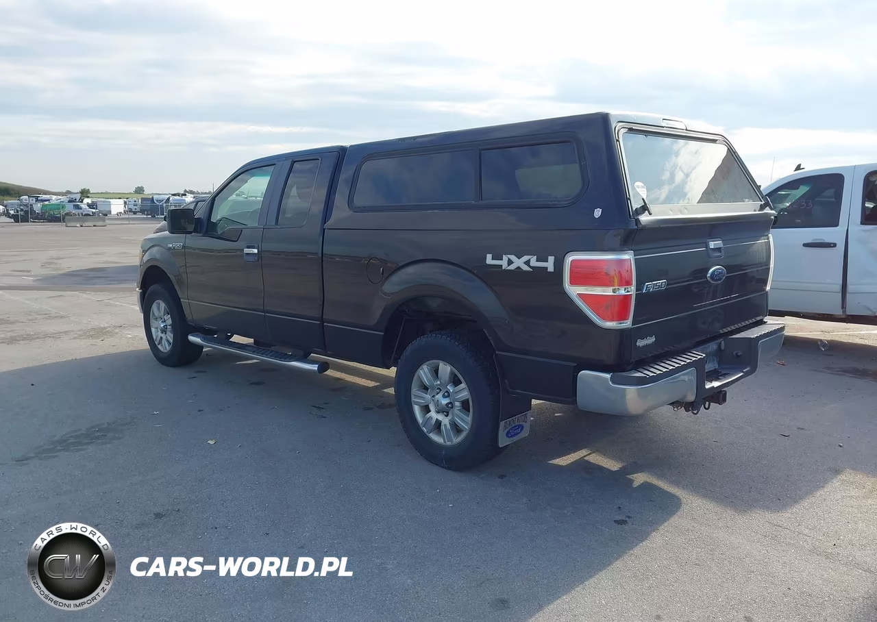 2010 Ford F-150 Stx-Xl-Xlt VIN:1FTEX1E86AKA77094 - 3