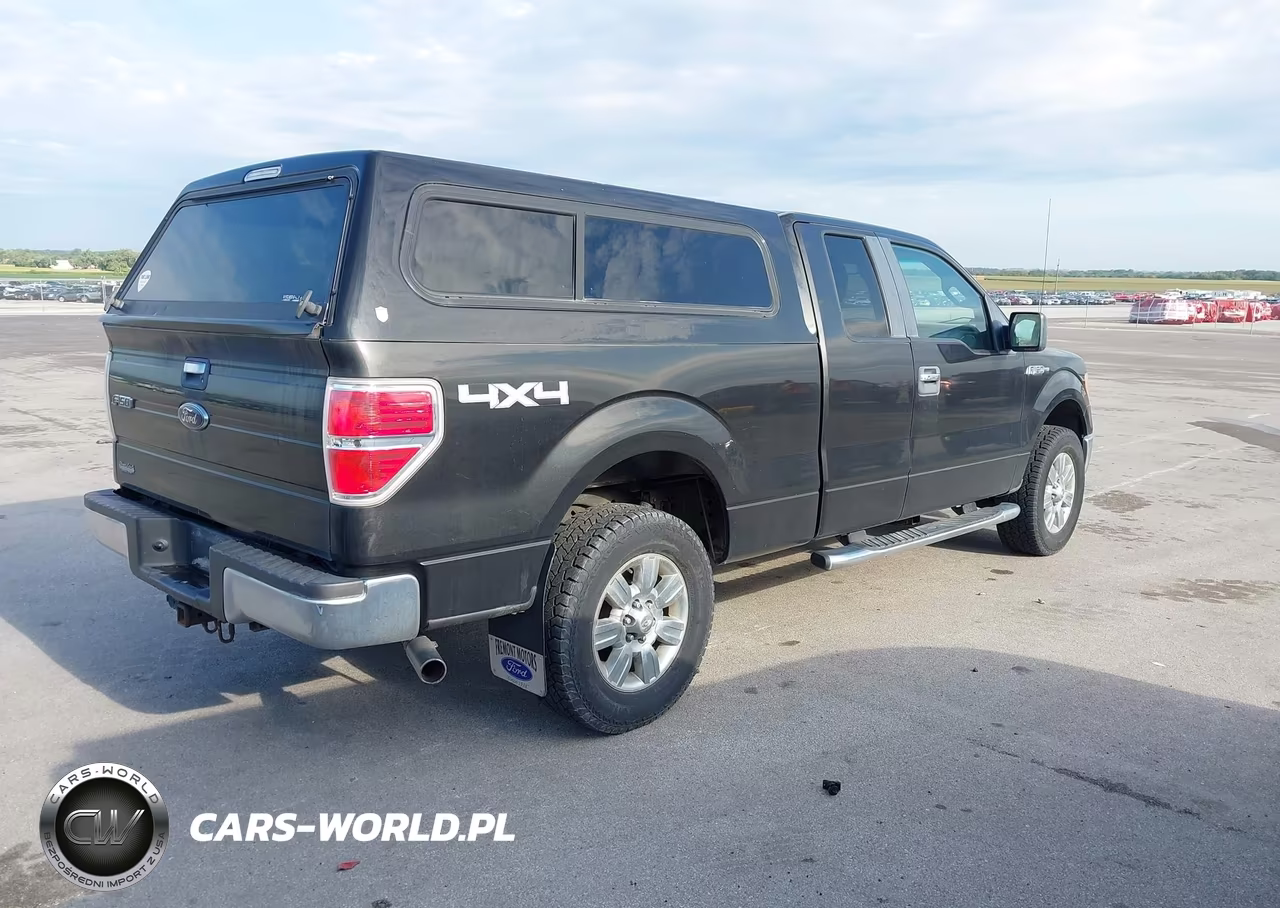 2010 Ford F-150 Stx-Xl-Xlt VIN:1FTEX1E86AKA77094 - 4