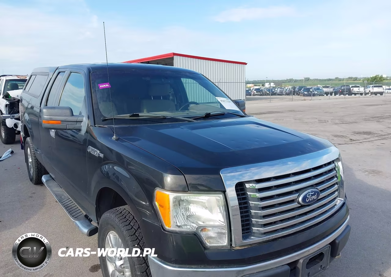 2010 Ford F-150 Stx-Xl-Xlt VIN:1FTEX1E86AKA77094 - 6