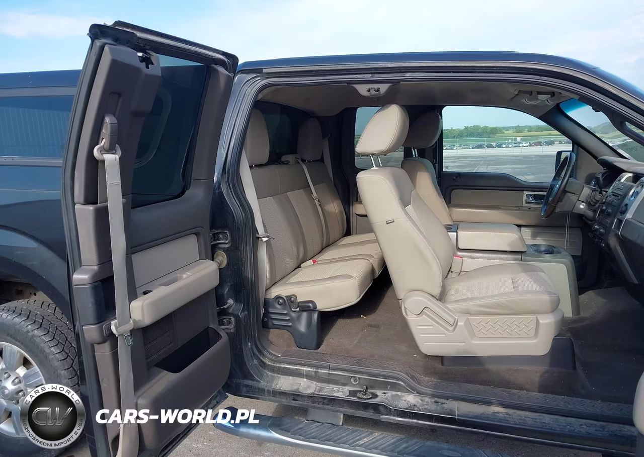 2010 Ford F-150 Stx-Xl-Xlt VIN:1FTEX1E86AKA77094 - 8
