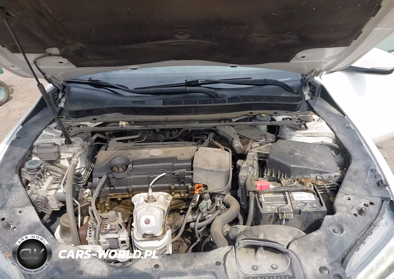 2016 Acura Tlx VIN:19UUB1F31GA007788 - 10