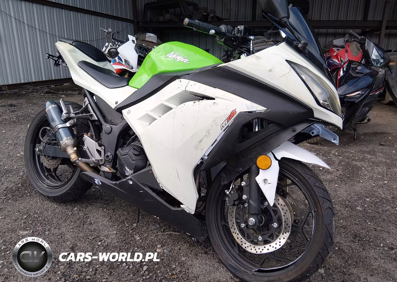 2015 Kawasaki Ex300 A – zdjęcie 1 z 13