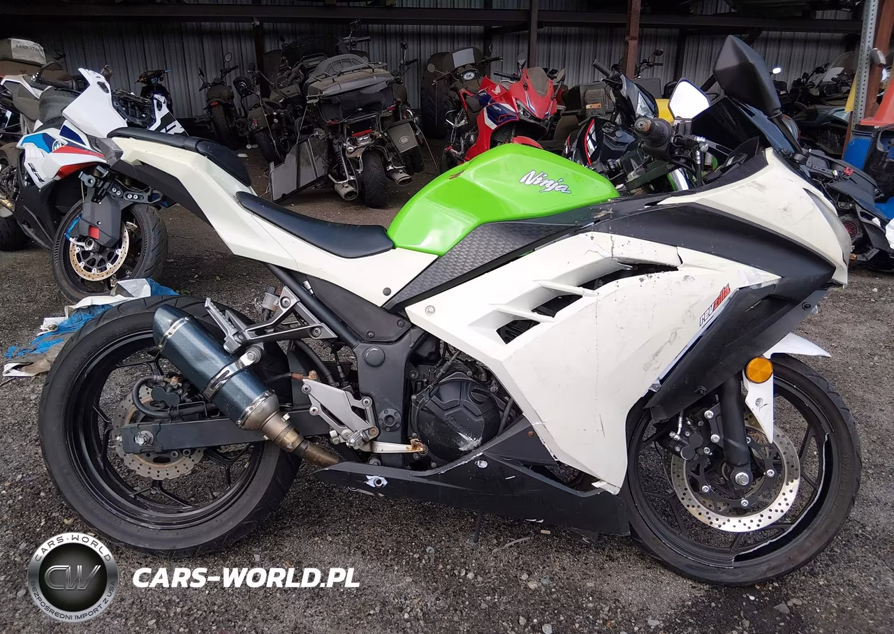 2015 Kawasaki Ex300 A VIN:JKAEX8A16FDA21439 - 12
