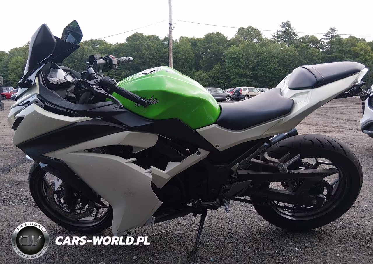 2015 Kawasaki Ex300 A VIN:JKAEX8A16FDA21439 - 13