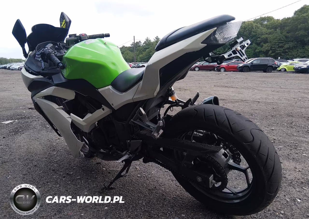 2015 Kawasaki Ex300 A VIN:JKAEX8A16FDA21439 - 3
