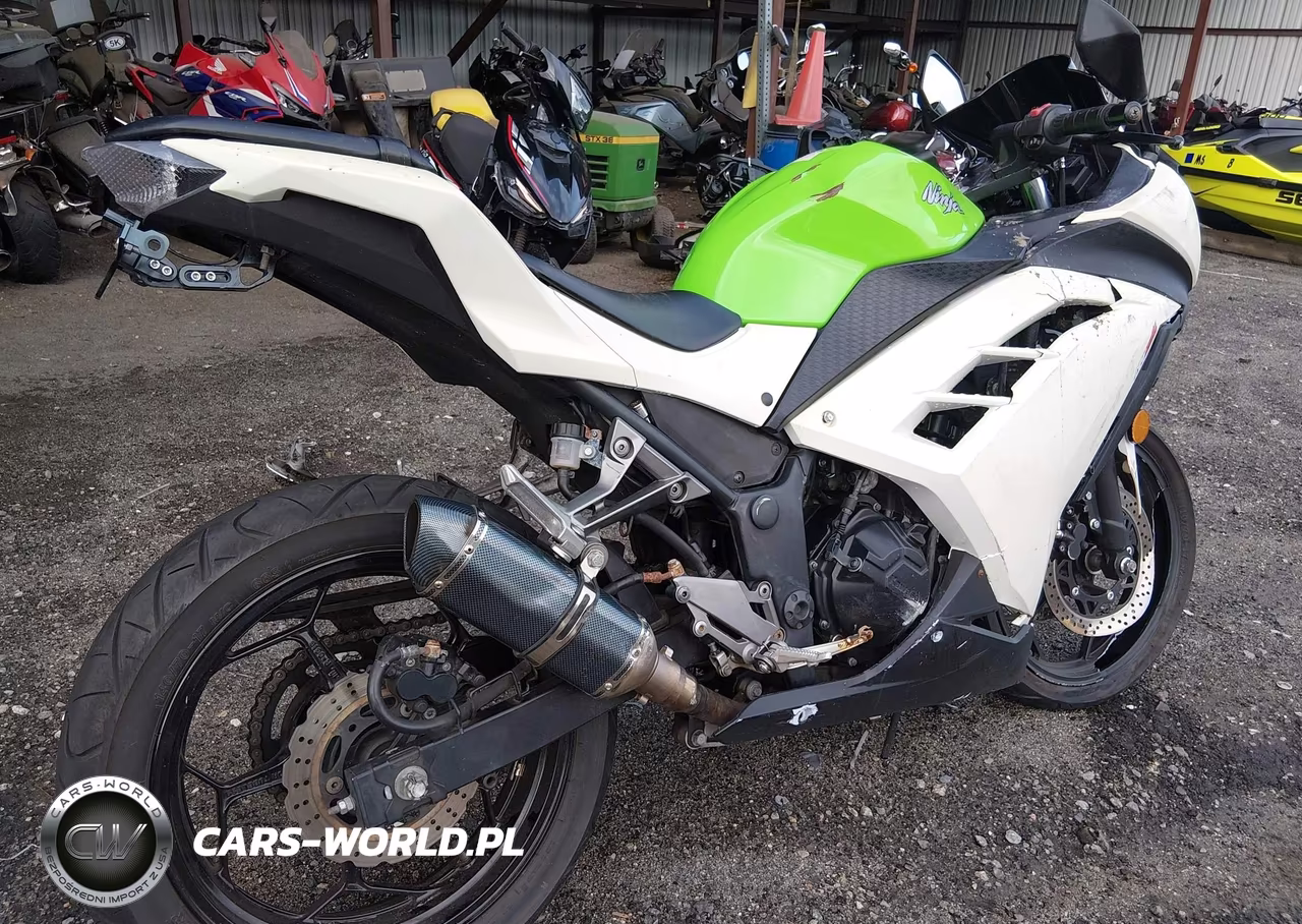2015 Kawasaki Ex300 A VIN:JKAEX8A16FDA21439 - 4