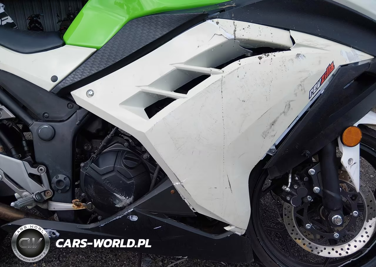 2015 Kawasaki Ex300 A VIN:JKAEX8A16FDA21439 - 8