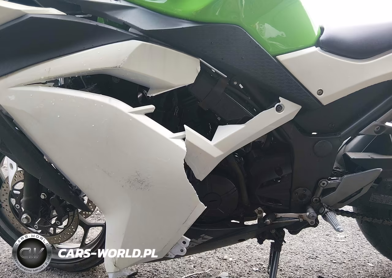 2015 Kawasaki Ex300 A VIN:JKAEX8A16FDA21439 - 9
