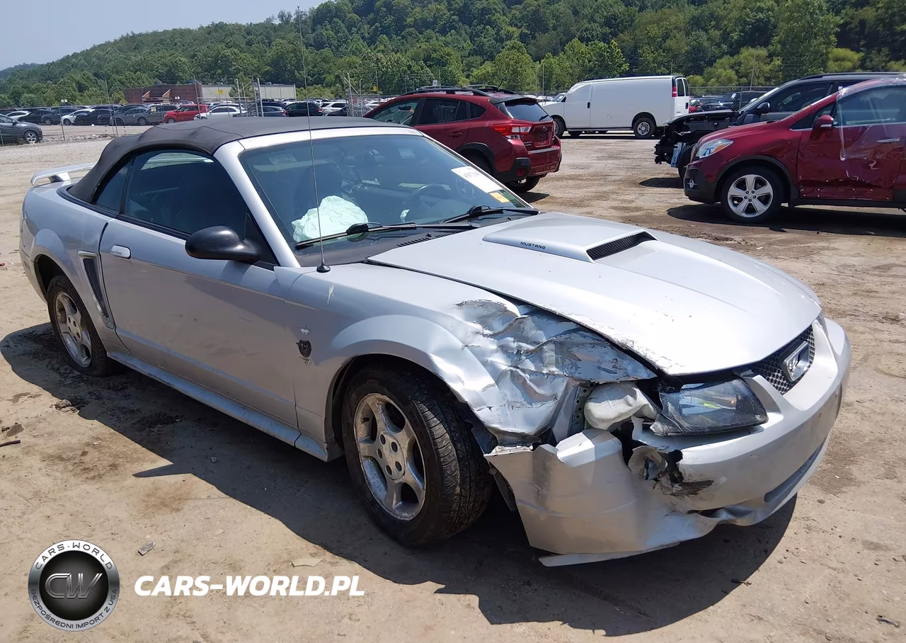 2004 Ford Mustang – zdjęcie 1 z 16