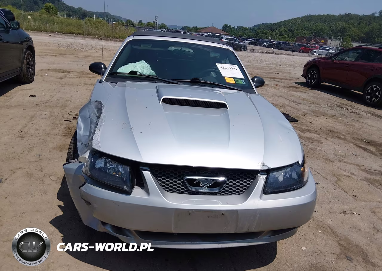 2004 Ford Mustang VIN:1FAFP44674F171848 - 12