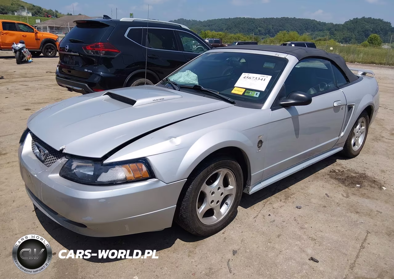 2004 Ford Mustang VIN:1FAFP44674F171848 - 2