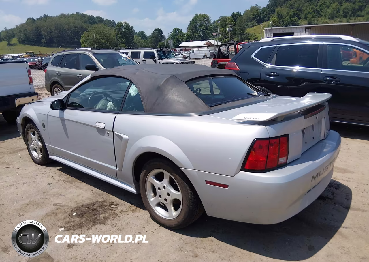 2004 Ford Mustang VIN:1FAFP44674F171848 - 3