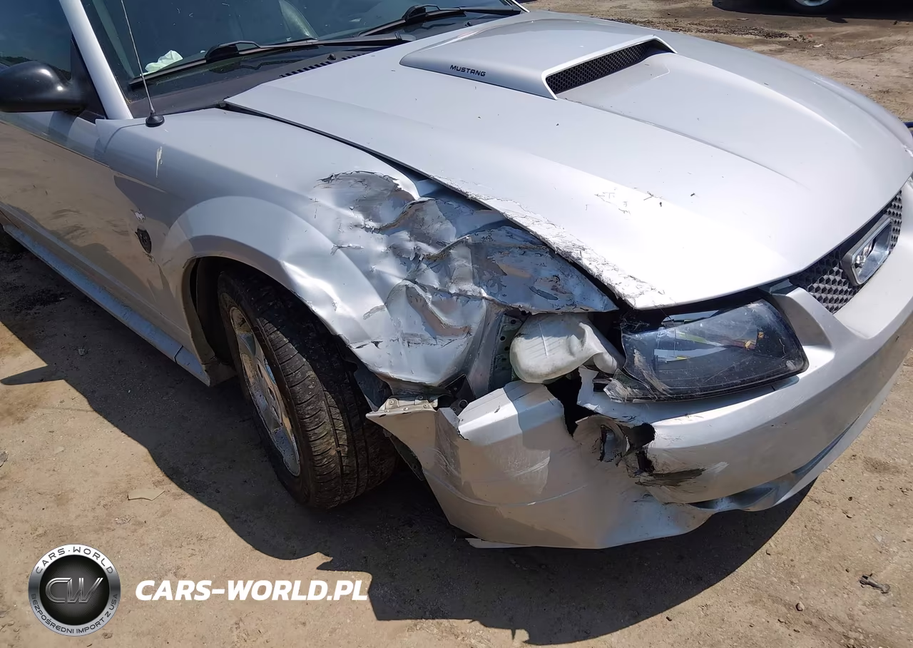 2004 Ford Mustang VIN:1FAFP44674F171848 - 6