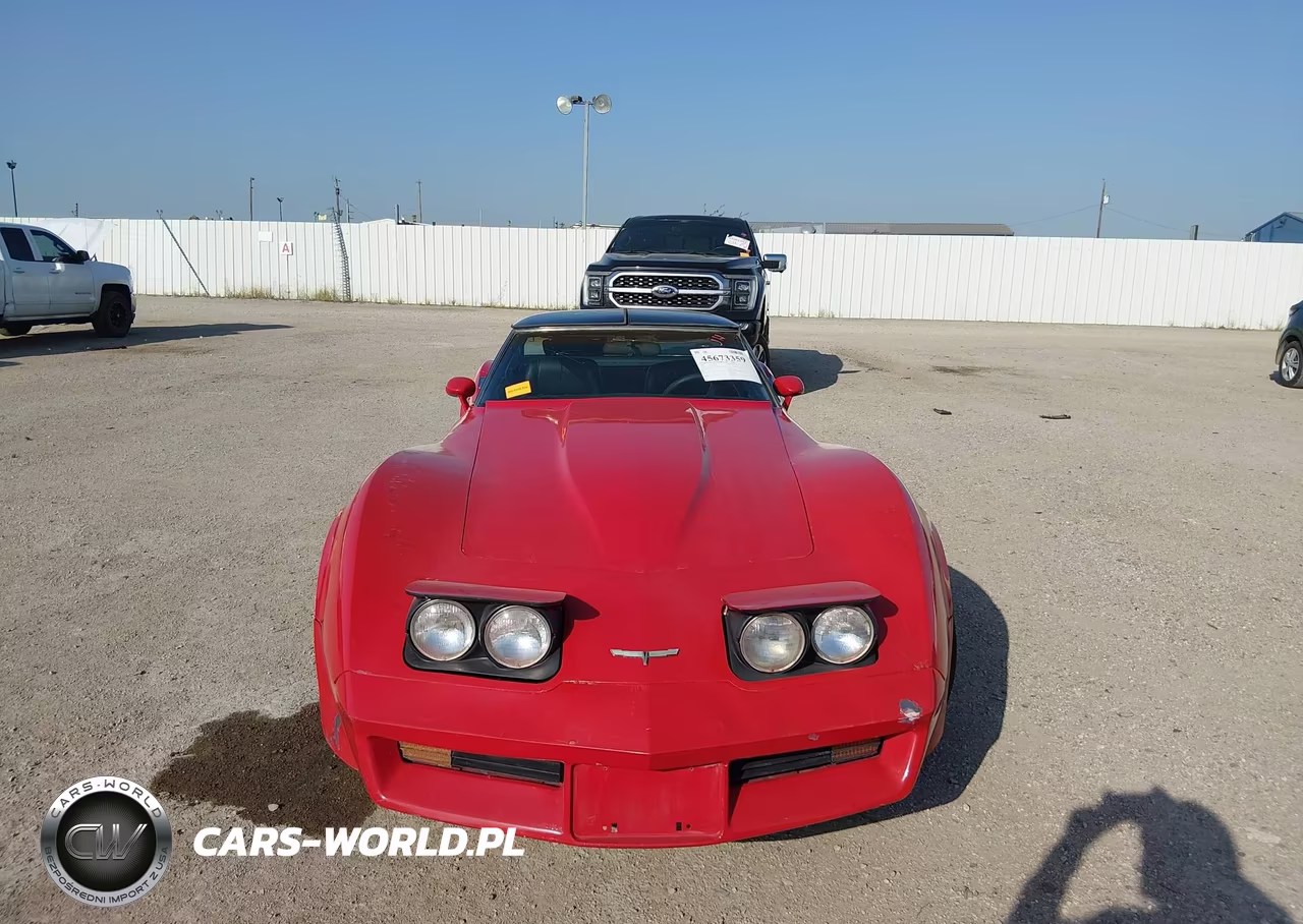 1981 Chevrolet Corvette VIN:1G1AY8765BS415269 - 11