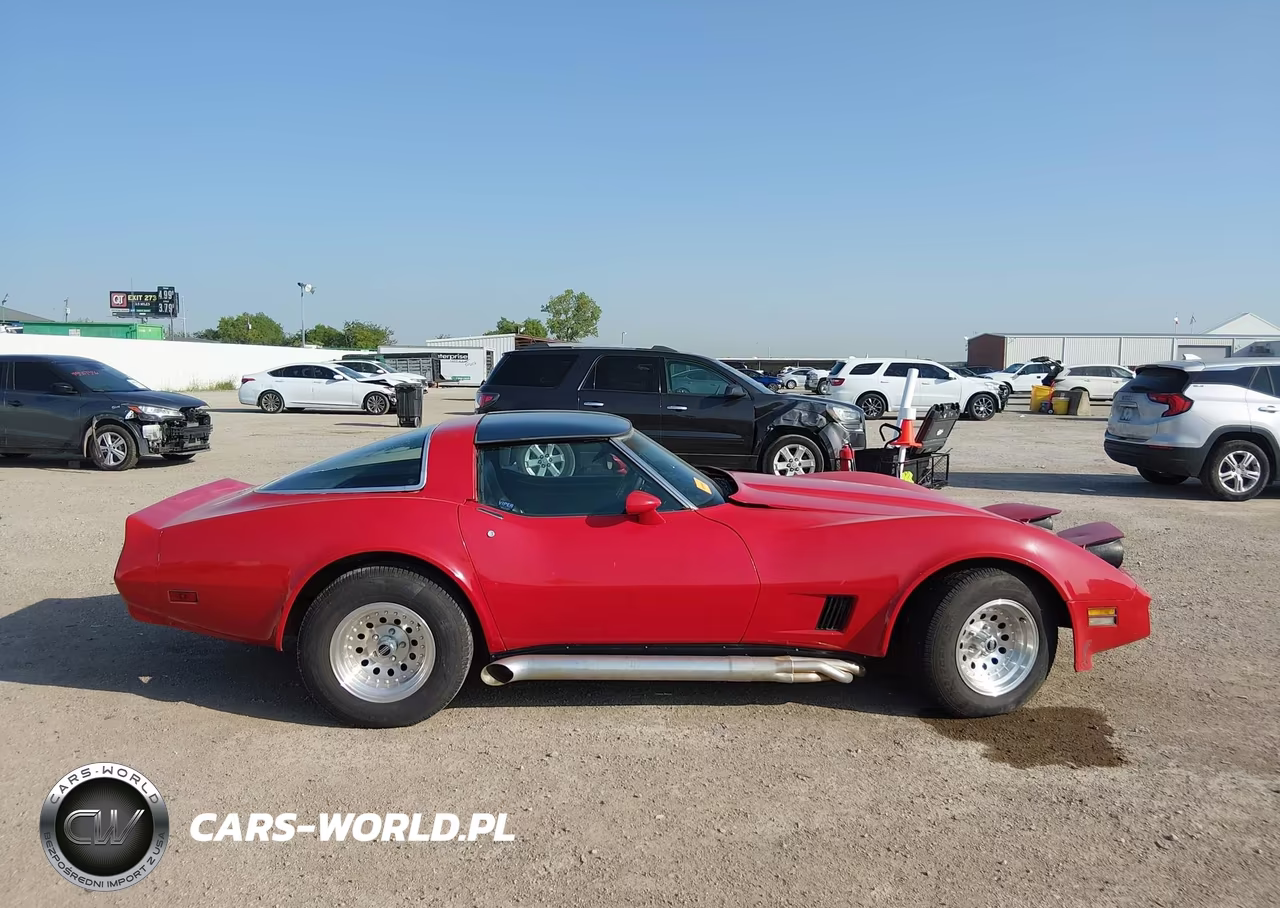 1981 Chevrolet Corvette VIN:1G1AY8765BS415269 - 12