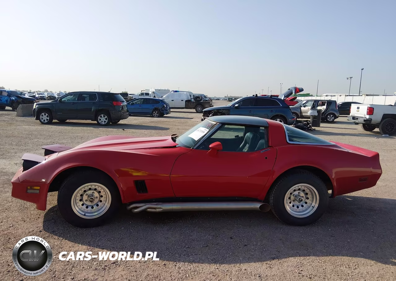 1981 Chevrolet Corvette VIN:1G1AY8765BS415269 - 13