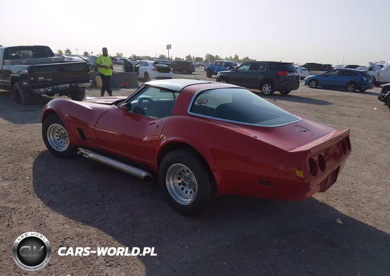 1981 Chevrolet Corvette VIN:1G1AY8765BS415269 - 3