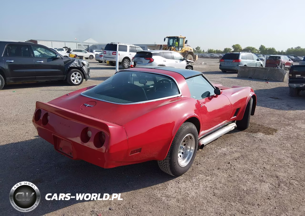 1981 Chevrolet Corvette VIN:1G1AY8765BS415269 - 4