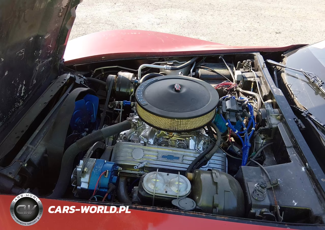 1981 Chevrolet Corvette VIN:1G1AY8765BS415269 - 9