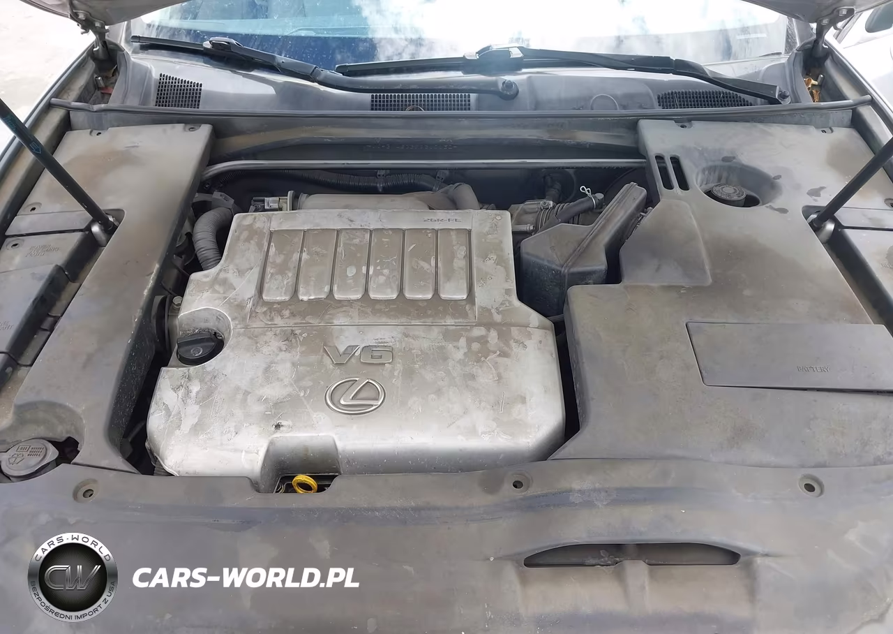 2009 Lexus Es 350 VIN:JTHBJ46G392310130 - 10