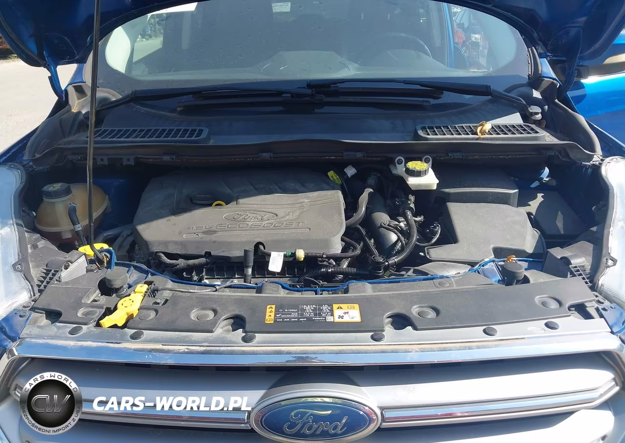 2017 Ford Escape Titanium VIN:1FMCU9JD0HUC95320 - 10