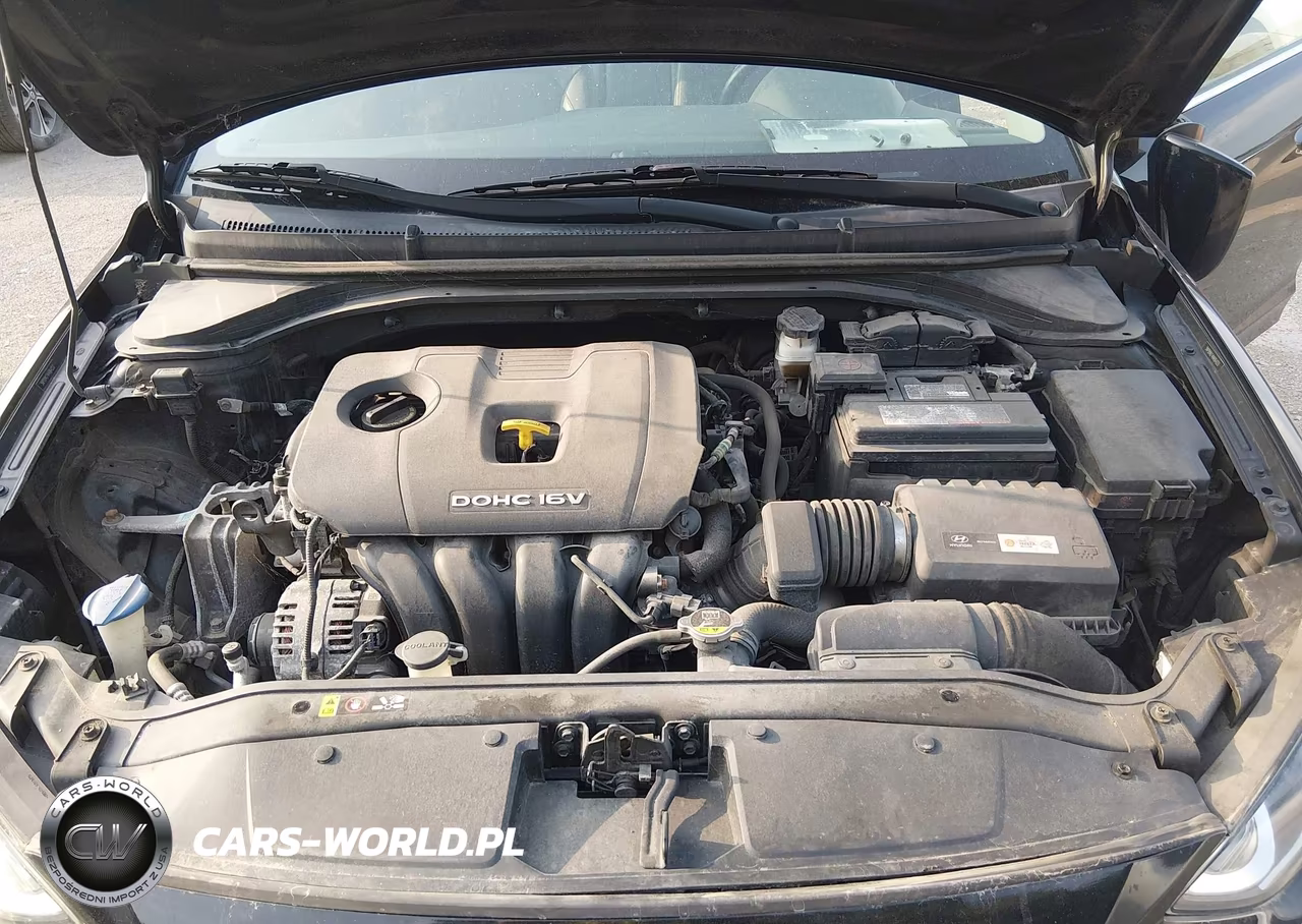 2017 Hyundai Elantra Limited VIN:5NPD84LF4HH064333 - 10