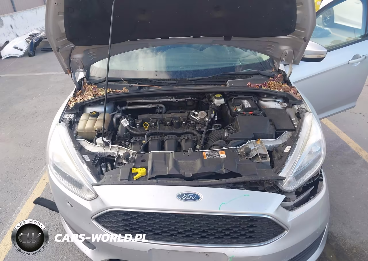 2017 Ford Focus Se VIN:1FADP3F29HL300157 - 10