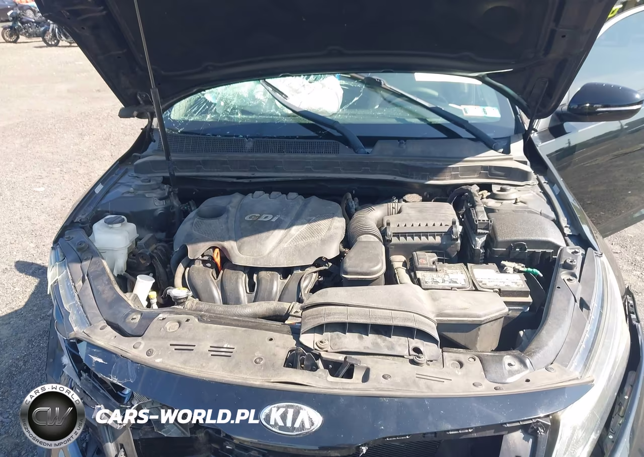 2014 Kia Optima Ex VIN:5XXGN4A76EG288325 - 10