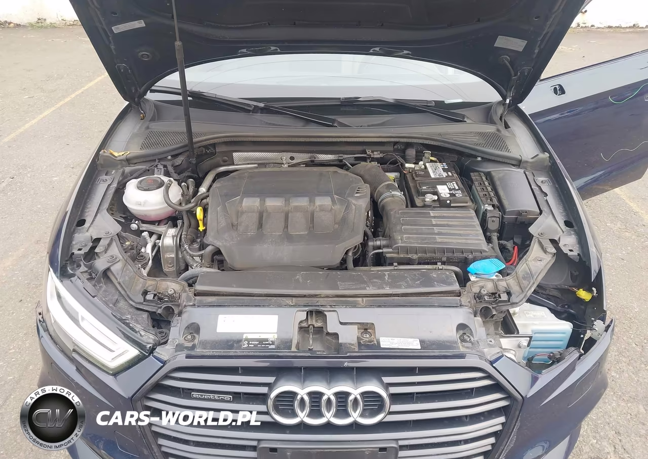 2020 Audi A3 Premium Plus 45 Tfsi S Line Quattro S Tronic VIN:WAUJEGFF0LA095939 - 10
