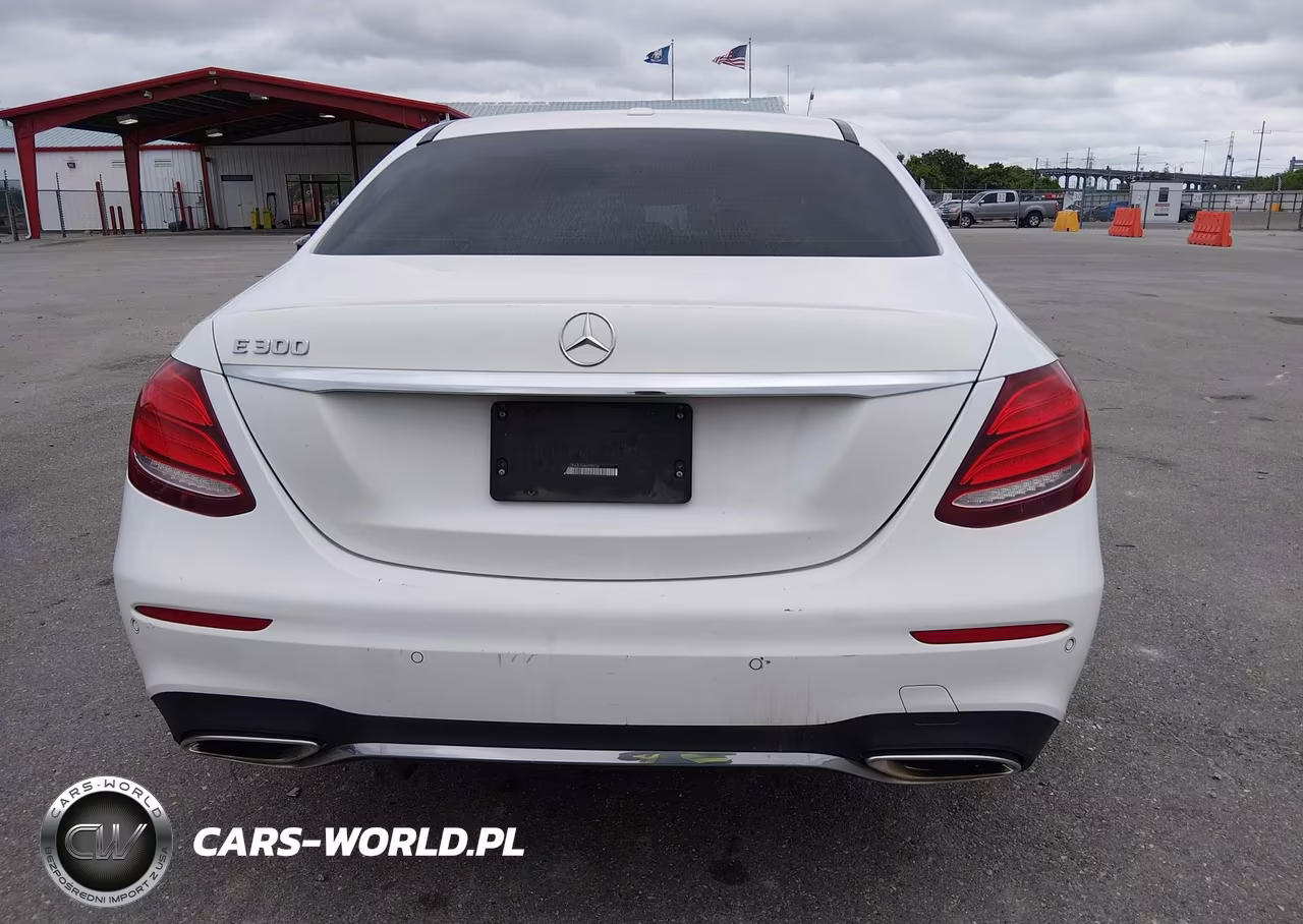 2017 Mercedes-Benz E 300 VIN:WDDZF4JB1HA079316 - 16