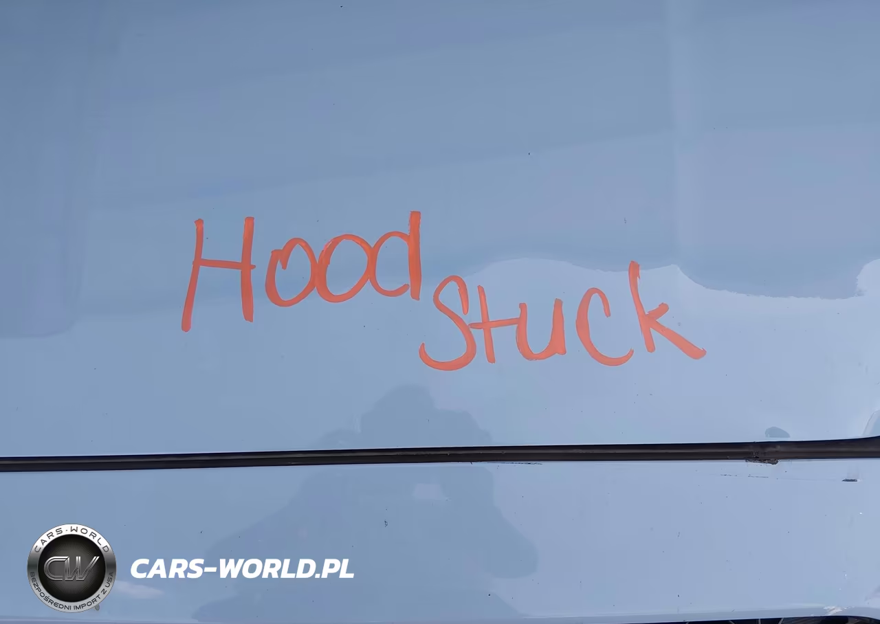 2020 Hyundai Veloster N VIN:KMHT36AH8LU004818 - 10