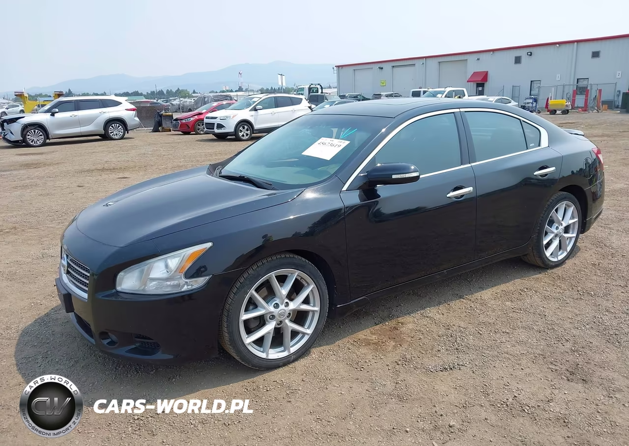 2009 Nissan Maxima 3.5 Sv VIN:1N4AA51E79C818593 - 2
