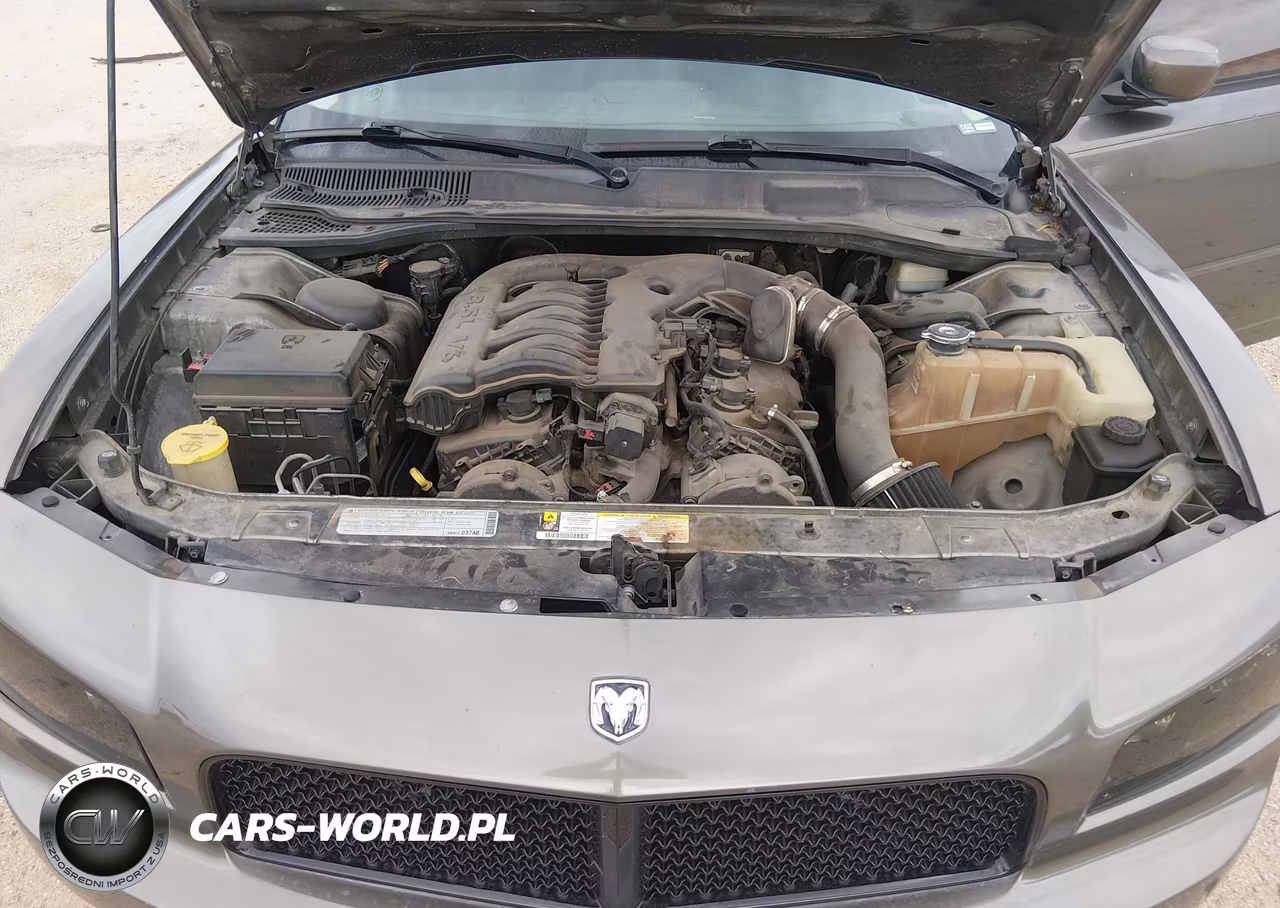 2010 Dodge Charger Sxt VIN:2B3CA3CV5AH113153 - 10