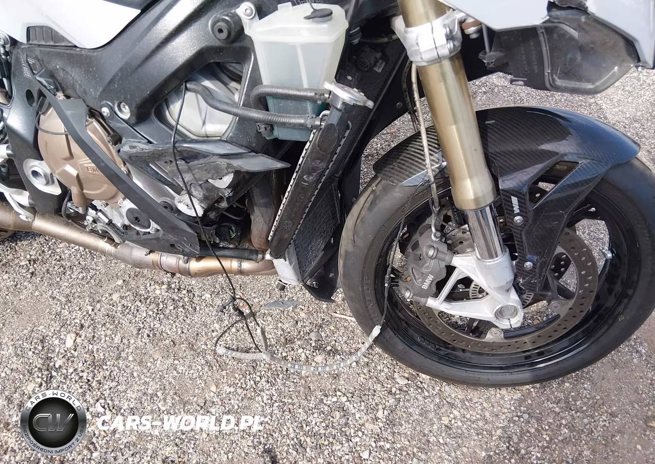 2020 BMW S 1000 Rr VIN:WB10E2303L6D29950 - 15